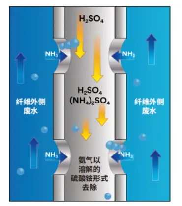 利用膜接触器处理烟气凝结水中的氨氮