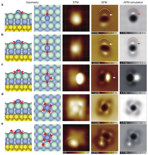 钠离子水合物的亚分子级分辨成像。从左至右，依次为五种离子水合物的原子结构图、扫描隧道显微镜图、原子力显微镜图和原子力成像模拟图。图像尺寸：1.5nm×1.5nm。