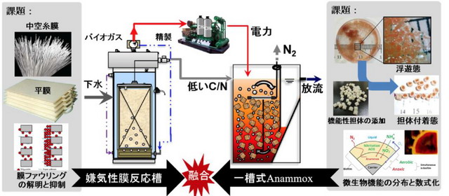 李玉友教授：日本基于厌氧MBR与厌氧氨氧化的低碳设计