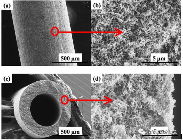 基于碳纳米管材料的电膜耦合技术从源头上控制膜污染