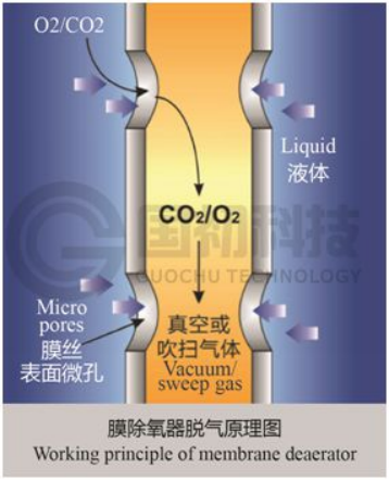 葡萄酒除氧技术提升品质与延长保质期